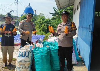 Polsek Tanggulangin Dampingi Gapoktan Randegan Jemur Hasil Panen Jagung