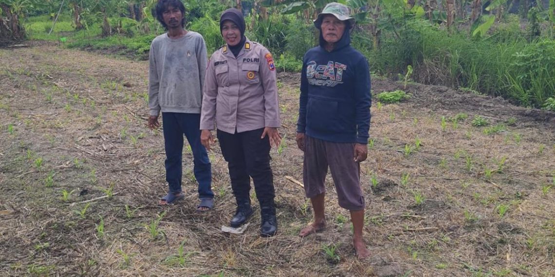 Polsek Gedangan Masifkan Pendampingan Ketahanan Pangan