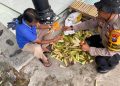 Polsek Krembung Dampingi Perawatan Jagung untuk Dukung Swasembada Pangan