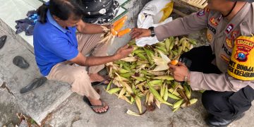 Polsek Krembung Dampingi Perawatan Jagung untuk Dukung Swasembada Pangan