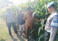 Polisi Turun Bareng Perangkat Desa Cek Lahan Pertanian Jagung di Kecamatan Tarik