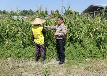 Petani Desa Lebo Apresiasi Dukungan Polisi Terhadap Upaya Ketahanan Pangan