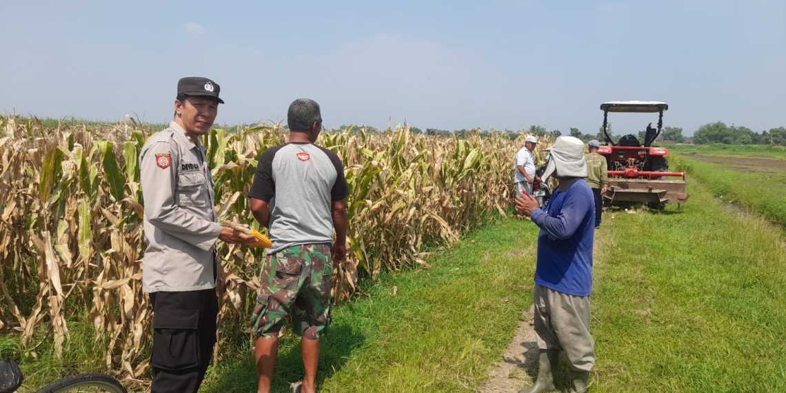 Kapolsek Prambon Masifkan Bhabinkamtibmas Sambang Petani, Guna Dongkrak Swasembada Pangan