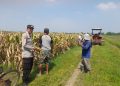 Kapolsek Prambon Masifkan Bhabinkamtibmas Sambang Petani, Guna Dongkrak Swasembada Pangan