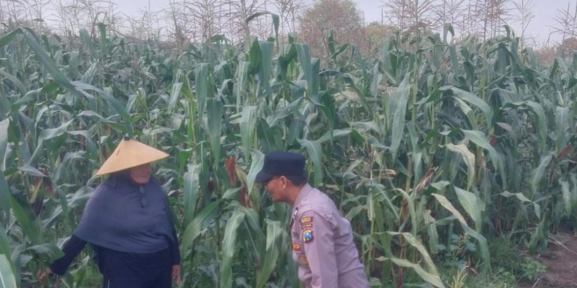 Dampingi Petani, Polsek Sidoarjo Kota Dukung Swasembada Pangan