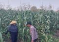 Dampingi Petani, Polsek Sidoarjo Kota Dukung Swasembada Pangan