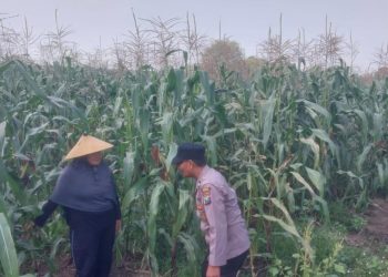 Dampingi Petani, Polsek Sidoarjo Kota Dukung Swasembada Pangan