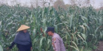 Dampingi Petani, Polsek Sidoarjo Kota Dukung Swasembada Pangan