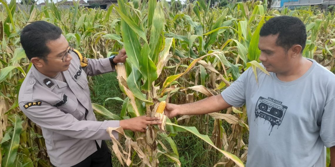 Polsek Prambon Dampingi Petani Guna Sukseskan Program Ketahanan Pangan