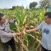 Polsek Prambon Dampingi Petani Guna Sukseskan Program Ketahanan Pangan