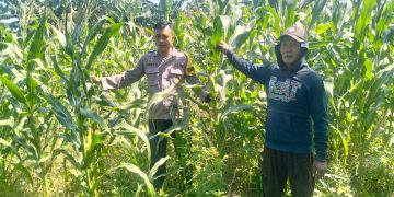 Polsek Gedangan Masifkan Pendampingan Program Swasembada Pangan