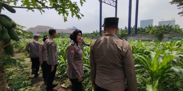 Tingkatkan Swasembada Pangan, Polsek Waru Ajak Petani Serius Kelola Tanaman Jagung