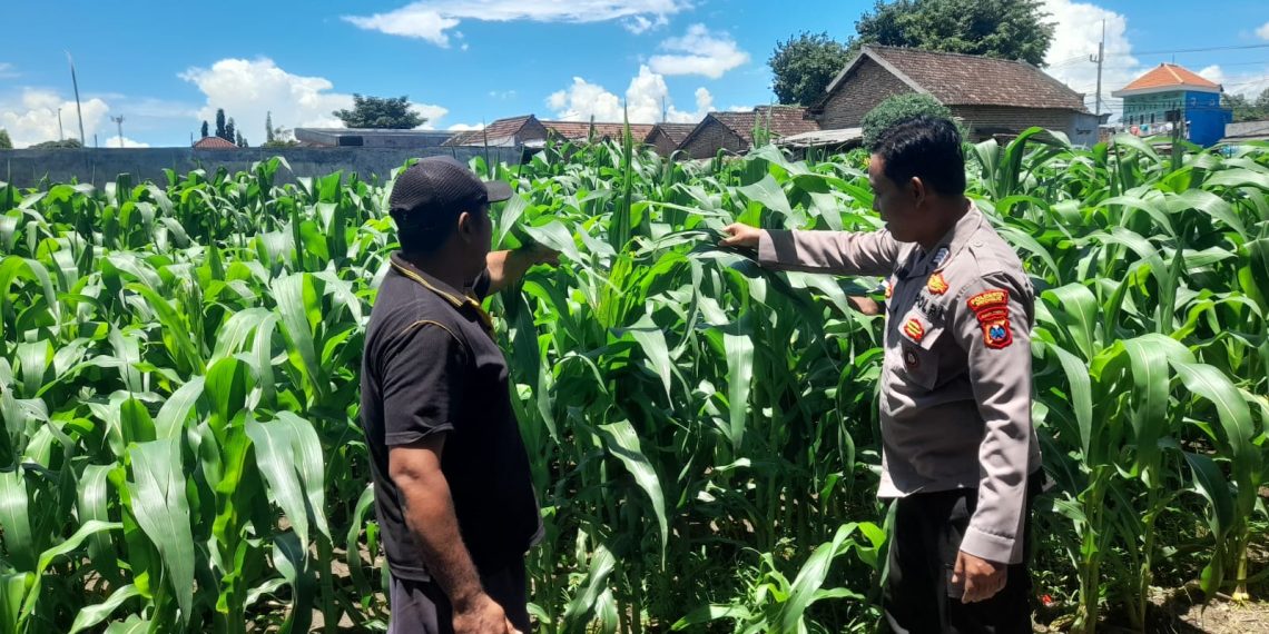 Polisi Sidoarjo Jalankan Ketahanan Pangan di Prambon