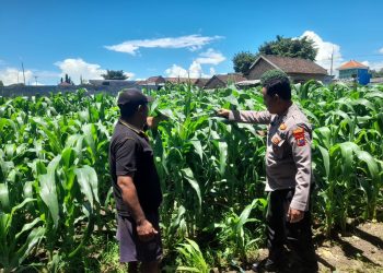 Polisi Sidoarjo Jalankan Ketahanan Pangan di Prambon