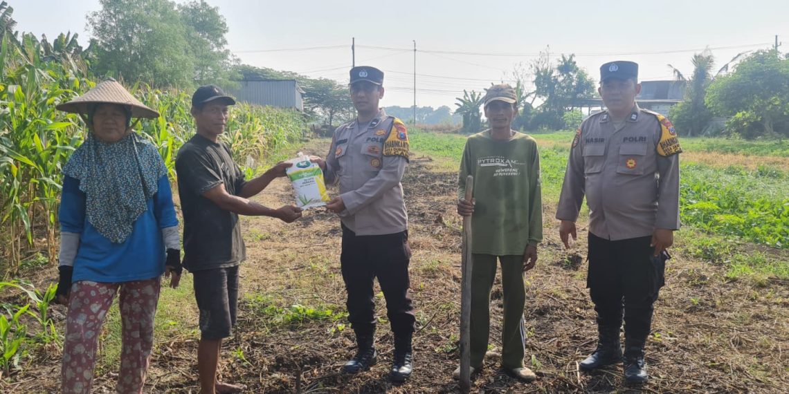 Polsek Candi Serahkan Bibit Jagung Hibrida Perkasa kepada Petani