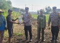 Polsek Candi Serahkan Bibit Jagung Hibrida Perkasa kepada Petani