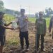 Polsek Candi Serahkan Bibit Jagung Hibrida Perkasa kepada Petani