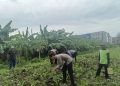 Polsek Waru Cek Perkembangan Tanaman Jagung di Desa Bungurasih