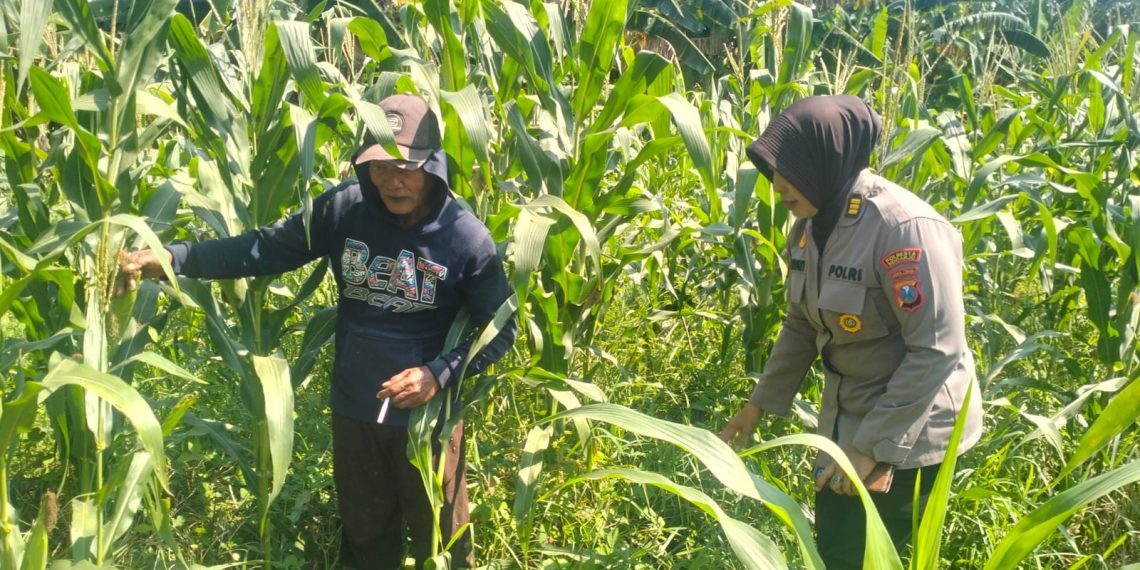 Polsek Gedangan Masifkan Pendampingan Program Swasembada Pangan