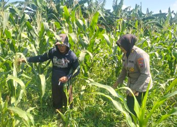 Polsek Gedangan Masifkan Pendampingan Program Swasembada Pangan