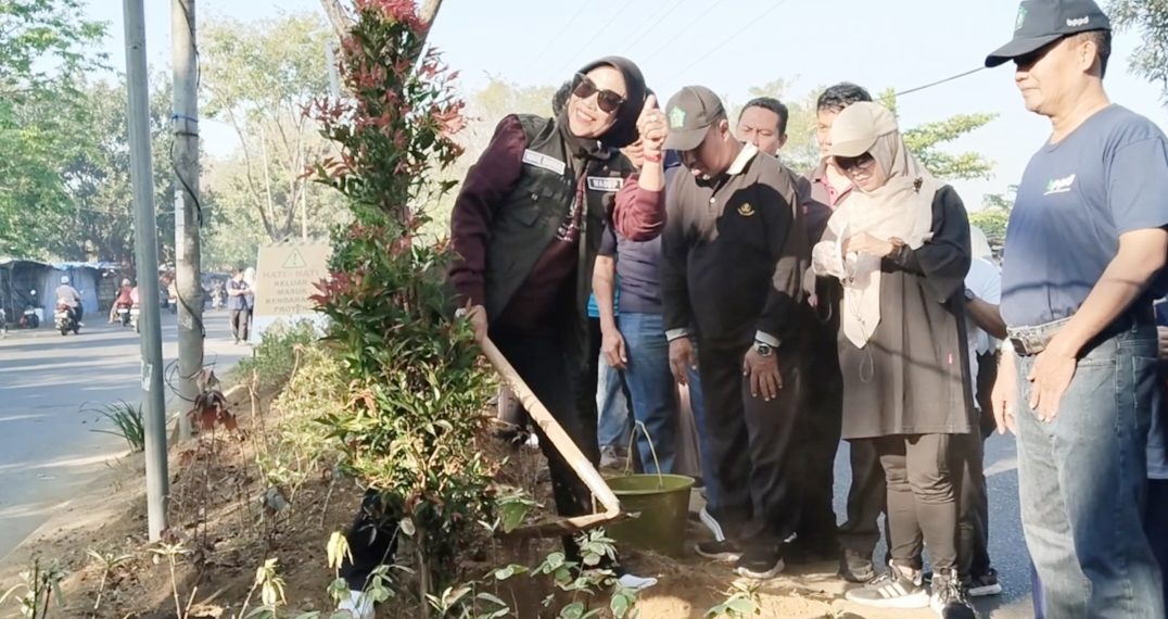 Wabup Mimik Idayana Tanam 644 Pohon Pucuk Merah, Gaungkan Sidoarjo Bersih dan Asri