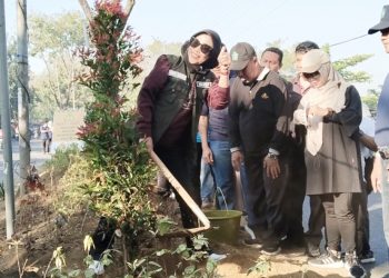 Wabup Mimik Idayana Tanam 644 Pohon Pucuk Merah, Gaungkan Sidoarjo Bersih dan Asri