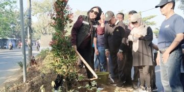 Wabup Mimik Idayana Tanam 644 Pohon Pucuk Merah, Gaungkan Sidoarjo Bersih dan Asri