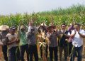 Polisi, Perangkat Desa dan Petani Kompak Sukseskan Ketahanan Pangan di Balongbendo