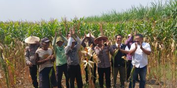 Polisi, Perangkat Desa dan Petani Kompak Sukseskan Ketahanan Pangan di Balongbendo