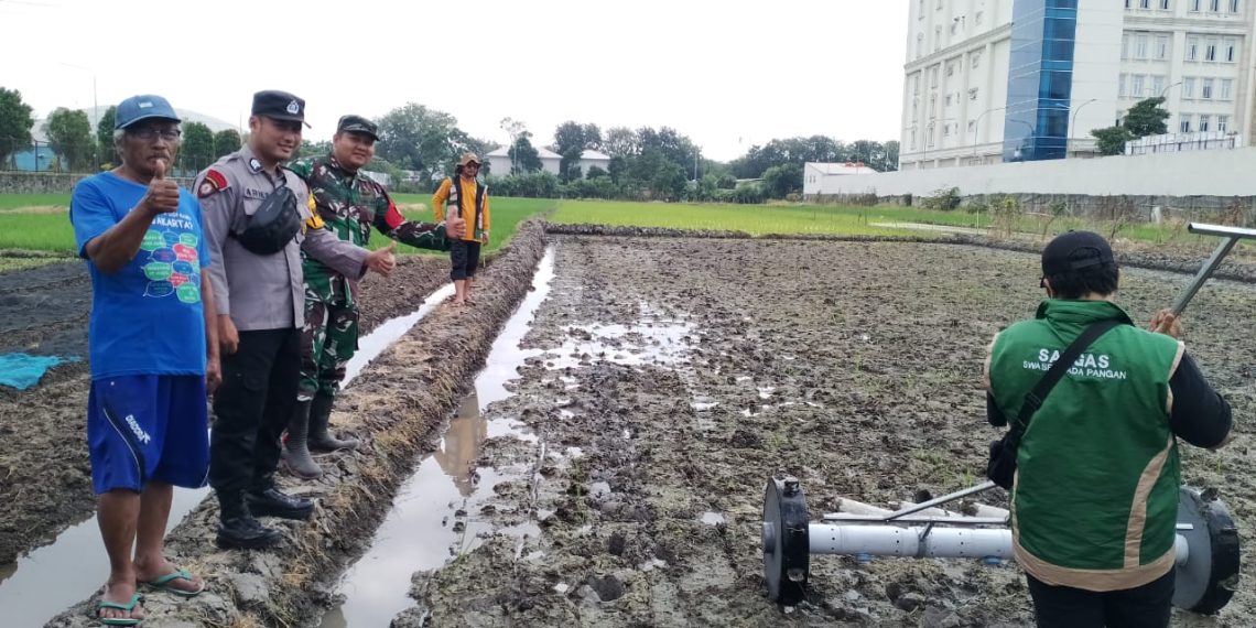 Bhabinkamtibmas Ketegan Kawal Tanam Padi Modern, Dukung Ketahanan Pangan Nasional