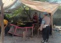 Polsek Krian Bongkar Arena Sabung Ayam di Ponokawan