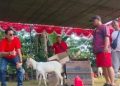 Warga RT 07 RW 2 Desa Cangkring Krembung Gelar Jalan Sehat Hadiah Kambing