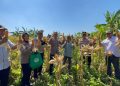 Panen Raya Jagung di Punggul, Polsek Gedangan Perkuat Swasembada Pangan
