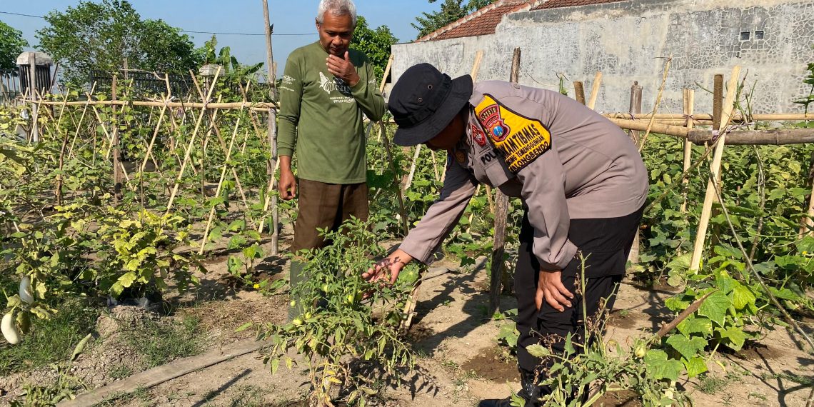 Polsek Balongbendo Masif Dampingi Warga Kelola P2L, Dukung Ketahanan Pangan
