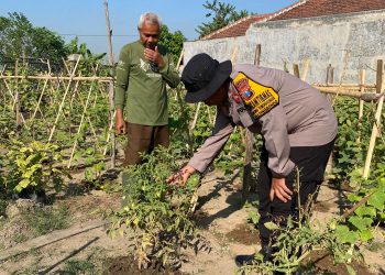 Polsek Balongbendo Masif Dampingi Warga Kelola P2L, Dukung Ketahanan Pangan