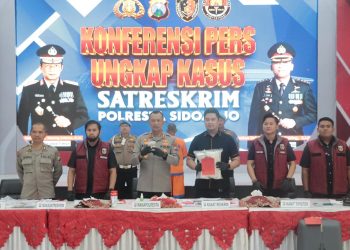 Polresta Sidoarjo Gagalkan Penyelundupan Benih Lobster ke Singapura
