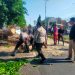 Polisi Bantu Evakuasi Pohon Tumbang di Jalan Raya Tebel Gedangan