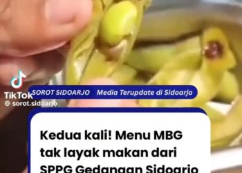 Viral Bahan Baku Jeruk dan Edamame di Salah Satu SPPG Gedangan Dipersoalkan Penerima Manfaat