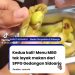 Viral Bahan Baku Jeruk dan Edamame di Salah Satu SPPG Gedangan Dipersoalkan Penerima Manfaat