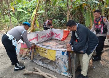 Polsek Krian Datangi Lokasi dan Tertibkan Arena Judi Sabung Ayam