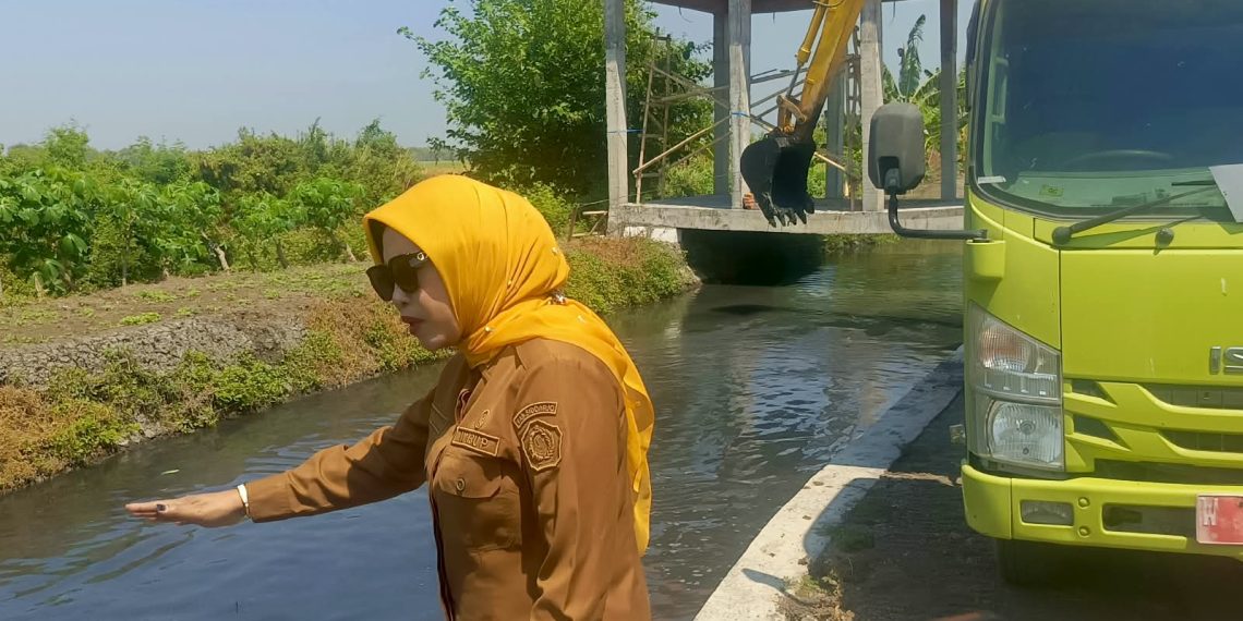 Sidak Pendangkalan Afvour Kedunguling Kiri Durungbanjar, Wabup Mimik Langsung Datangkan Ekskavator Langsung Dikeruk