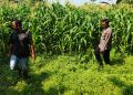 Polsek Tanggulangin Dukung Ketahanan Pangan, Upayakan Keluhan Petani di Desa Randegan