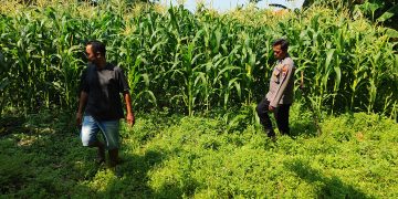 Polsek Tanggulangin Dukung Ketahanan Pangan, Upayakan Keluhan Petani di Desa Randegan
