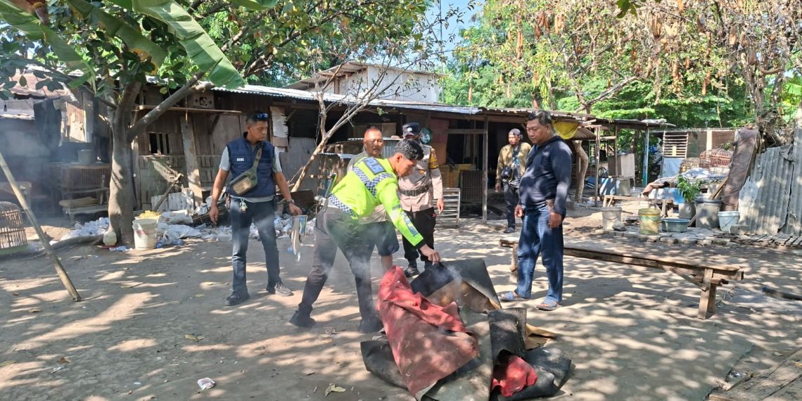 Polsek Waru Bongkar Arena Sabung Ayam di Desa Bungurasih