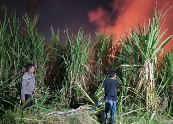 Polisi Bersama Masyarakat Padamkan Karhutla di Lahan Tebu Desa Popoh