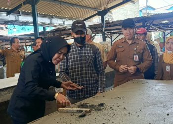 Sidak Progres Proyek Molor 17 Persen dan Kualitas Jelek, Wabup Mimik Idayana Semprot Konsultan Pengawas Rehab Pasar Taman