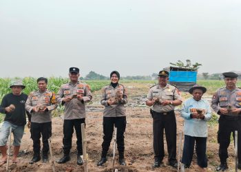 Polresta Sidoarjo Ajak Warga Budidayakan Uwi Ungu, Dukung Ketahanan Pangan dan Green Policing