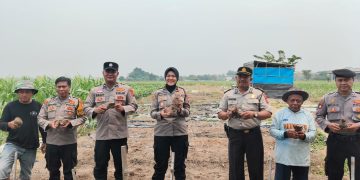 Polresta Sidoarjo Ajak Warga Budidayakan Uwi Ungu, Dukung Ketahanan Pangan dan Green Policing