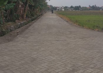 Proyek Pavingisasi Rp 352 Juta Desa Tanggul Wonoayu Tuntas Dikerjakan Sesuai Spek
